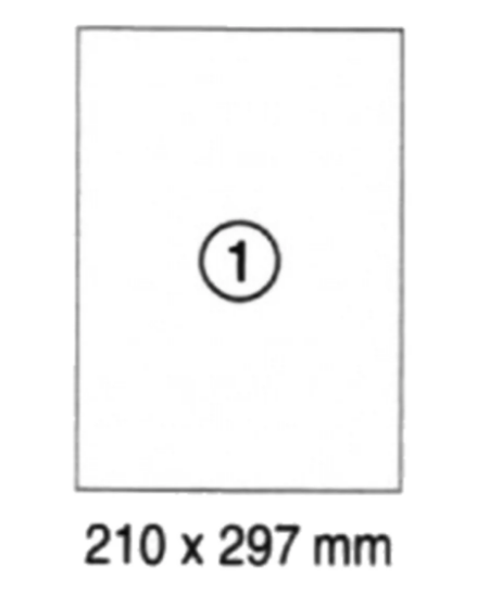 Premium A4 Label Sheets UAE | 210x297mm White Labels | Dubai Abu Dhabi Sharjah Delivery