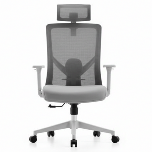 INFINI HOMES 2D Armrest Nylon Base Chair UAE - Model Reo HB BIFMA Certified Dubai Abu Dhabi Sharjah