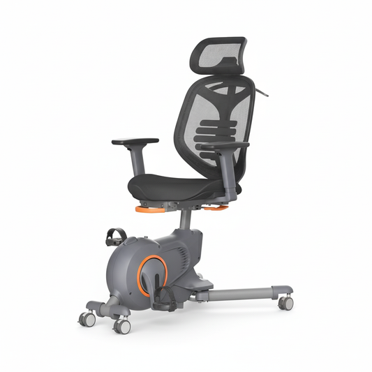 Premium Ergonomic Exercise Chair UAE | Fitness Equipment Dubai Abu Dhabi