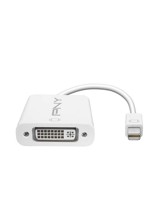 PNY Mini DisplayPort to DVI Adapter - UAE Stock | Dubai, Abu Dhabi, Sharjah, Ajman, Fujairah, RAK, UAQ Delivery
