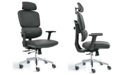 INFINI HOMES Ergonomic Chair UAE - Model Robbin HB 2D Headrest Dubai Abu Dhabi Sharjah
