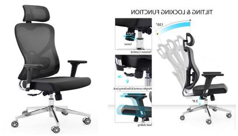 INFINI HOMES High Back Chair UAE - Model James 2D Headrest Dubai Abu Dhabi Sharjah