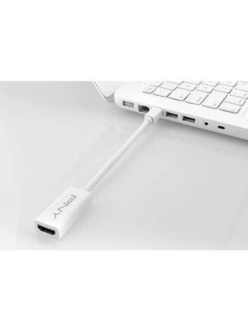 PNY Mini DisplayPort to HDMI Adapter White - UAE Stock | Dubai, Abu Dhabi, Sharjah, Ajman, Fujairah, RAK, UAQ Delivery