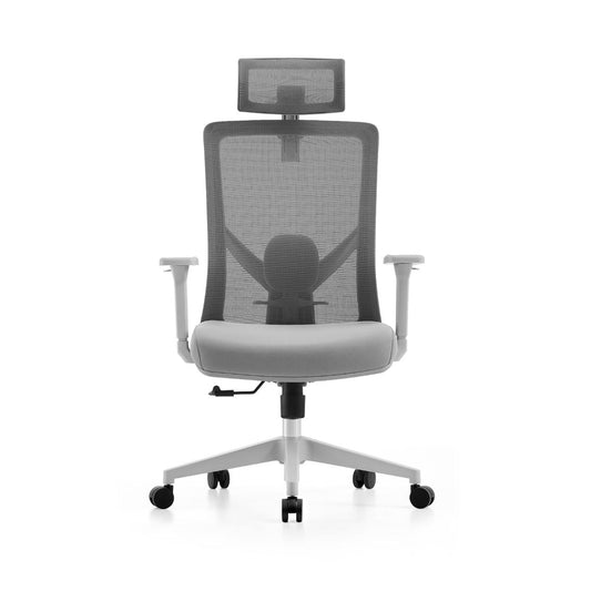 Ergonomic Office Chair UAE - Model Reo HB with Lumbar Support & 3 Year Warranty