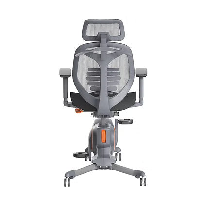 Premium Ergonomic Exercise Chair UAE | Fitness Equipment Dubai Abu Dhabi