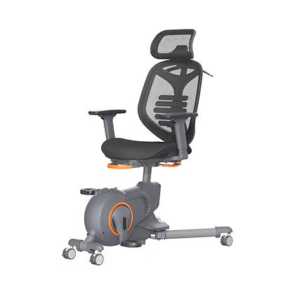 Premium Ergonomic Exercise Chair UAE | Fitness Equipment Dubai Abu Dhabi
