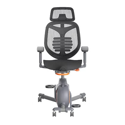 Premium Ergonomic Exercise Chair UAE | Fitness Equipment Dubai Abu Dhabi