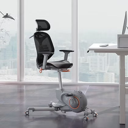 Premium Ergonomic Exercise Chair UAE | Fitness Equipment Dubai Abu Dhabi