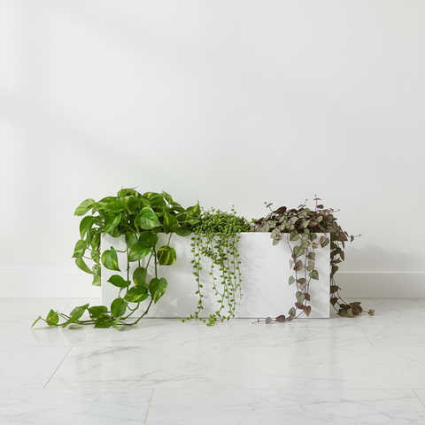 GO Planter Box GO-PB900 | Premium White Indoor Planter UAE